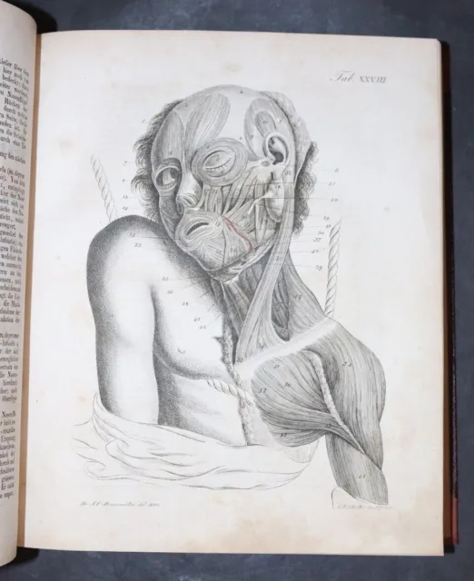 Encyklopädie Der Anatomie,Bildliche Darstellung Anatomie,147 Tafeln,Leipzig,1841