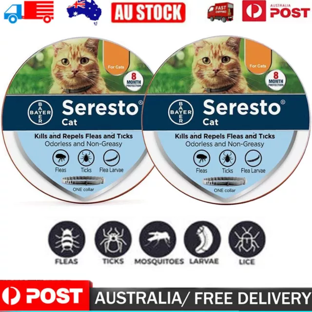 2PACK 8 Month Adjustable Protection Flea and Tick Collar Pet Cats 38cm AU