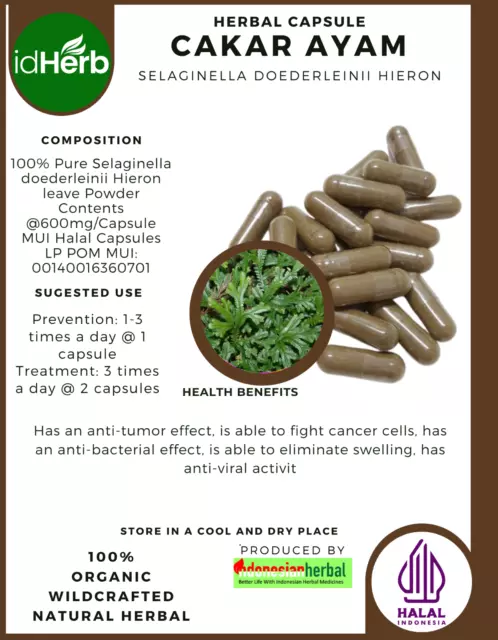 [Idherb] 100-800 Capsule Cakar Ayam Selaginella Doederleinii Organic Wildcrafted