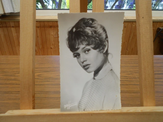 Photo De Brigitte Bardot - Années 60 - Tirage Neuf