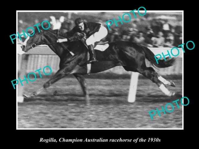OLD LARGE HORSE RACING PHOTO OF ROGILLA CHAMPION RACE HORSE OF THE 1930s 1