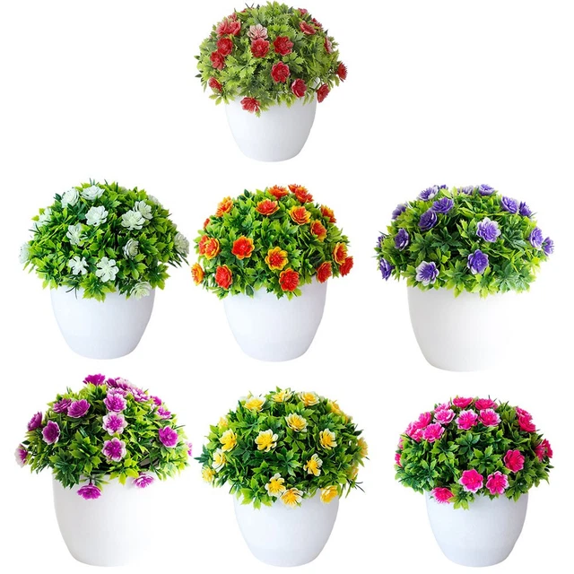 Cuillère à Friandises Pour Chat - Pratique, Hygiénique Et Anti-gaspi