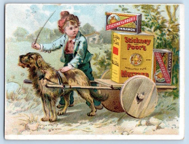 1880-90's STICKNEY & POOR'S MUSTARD SPICES EXTRACTS CINNAMON DOG PULLS CART CARD