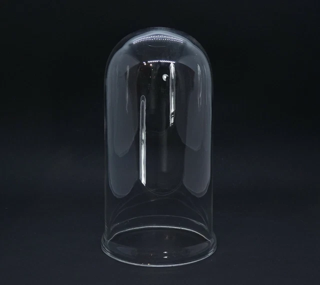 Cúpula de Cristal - Campana de Cristal, 19 Siglo, 21CM (#13578)