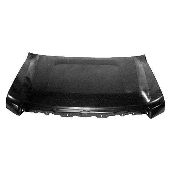 Hood Fits 09-14 FORD F150 PICKUP 1359261