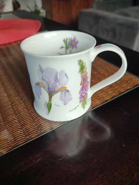 Mug Dunoon "Hooters" Design Jane Brookshaw - Occasion, Porcelaine, Vintage