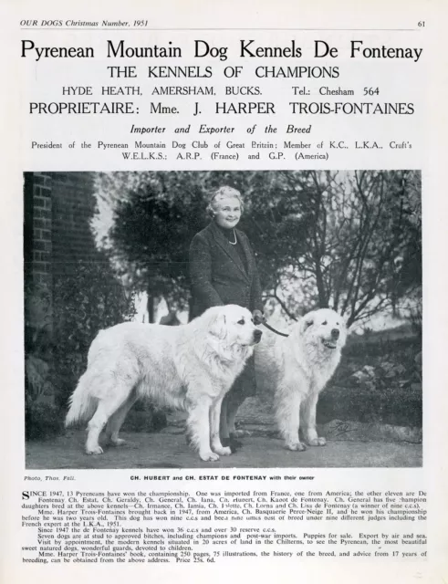 Pyrenean Mountain Dog Breed Kennel Advert Print Page Our Dogs 1951 De Fontenay