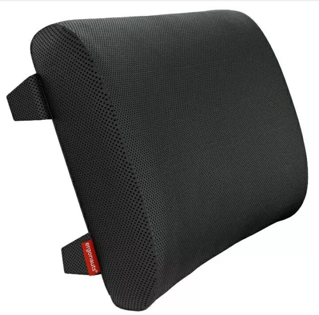 Ergonauts Posture Therapy Lumbar Support Cushion - Memory Foam : Black Back