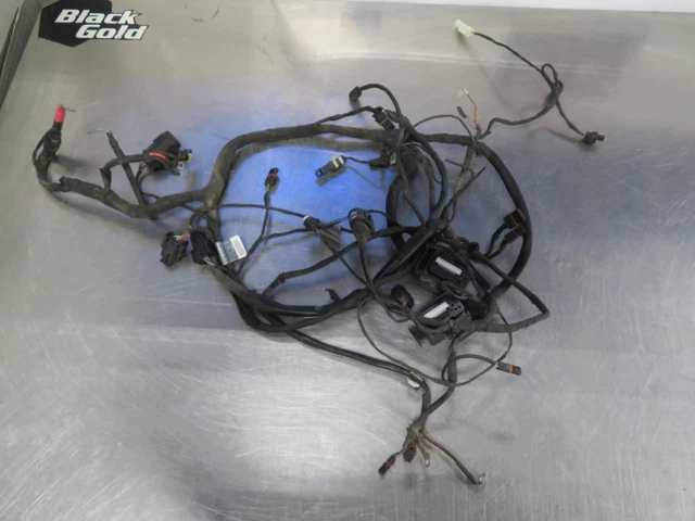 Eb892 2009 Bmw F800 St Main Electrical Wiring Harness Loom