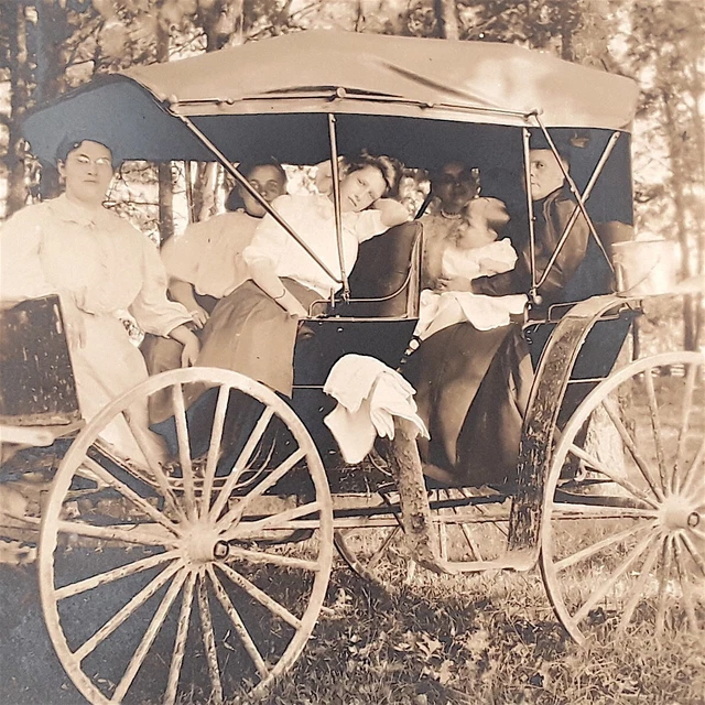 RPPC Crystal Springs Michigan Women Carriage WHMS Organization Postcard 1904-18