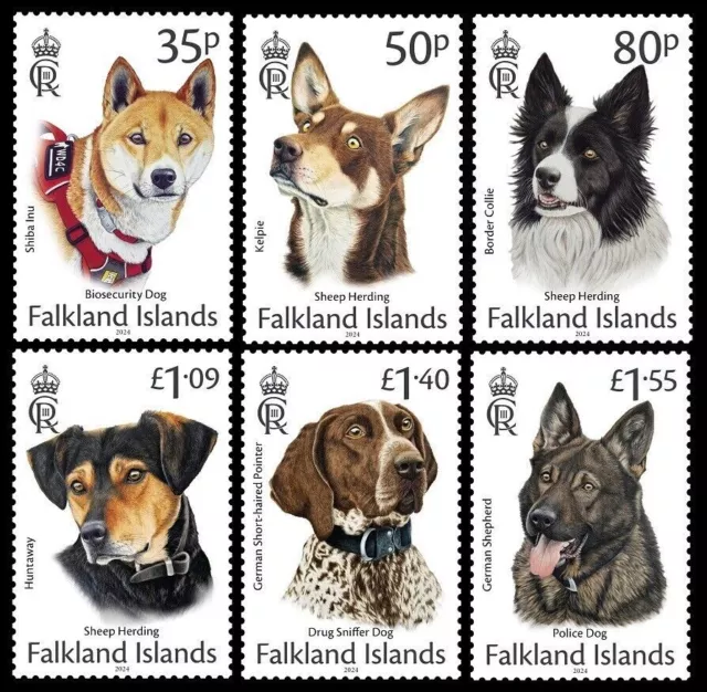 Falkland Islands 2024 Working Dogs Chiens Hunde Cani Perros Animals Pets