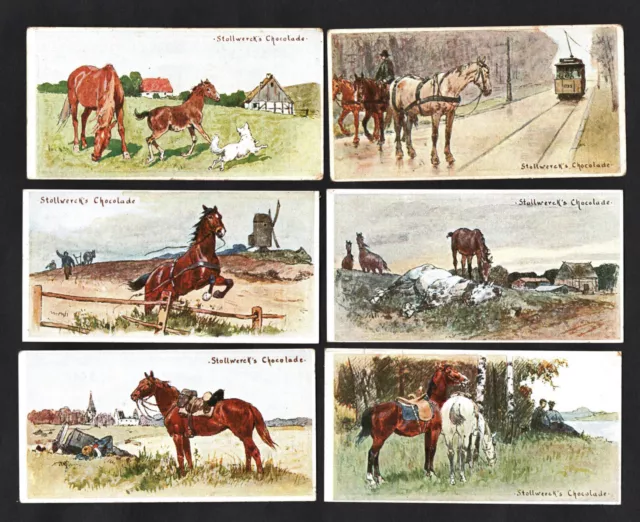 Horses Stollwerck 1898 Ser 48 Card Set Riding Foal Farm Military Tram Cheval