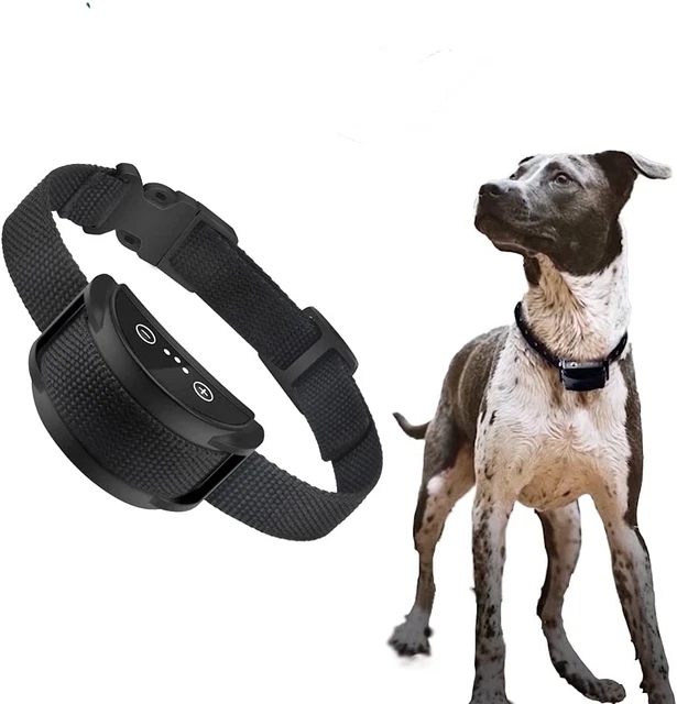 Brillo collar anti ladrido para perros pequeños, medianos grandes, sin golpes inofensivo perro mascota