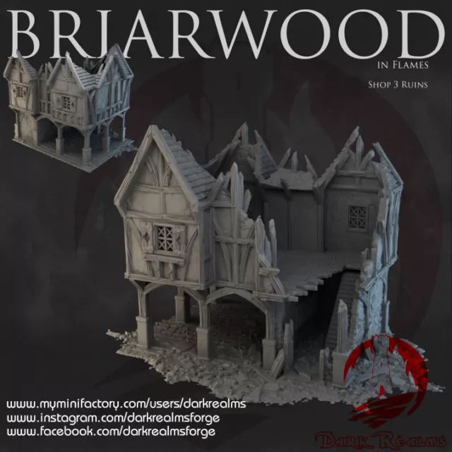 Briarwood (Bree) Shop Ruine 3  Herr der Ringe Tabletop Warhammer Fantasy