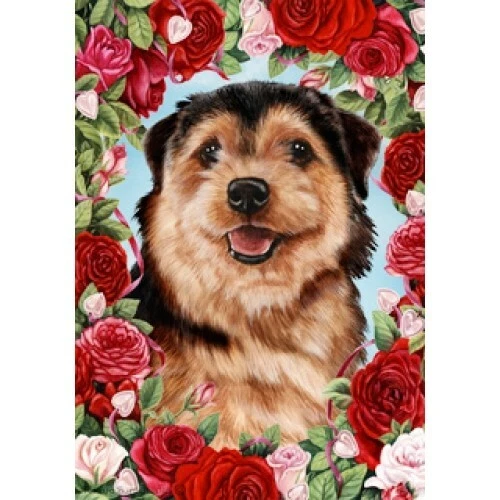 Roses House Flag - Norfolk Terrier 19225