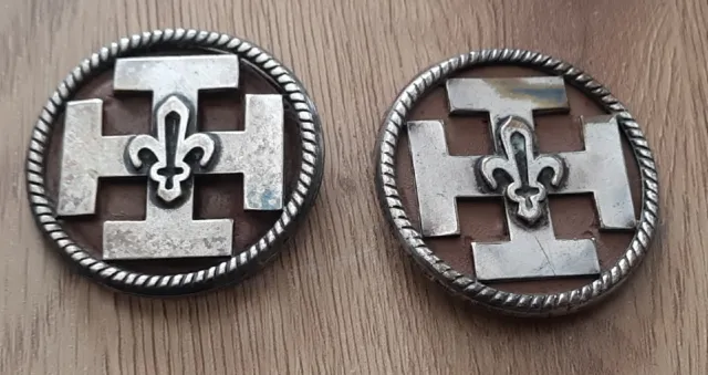 Top + Lot De 2 Grands  Insigne Beret Fleur De Lys Scout De France  Pucelle+