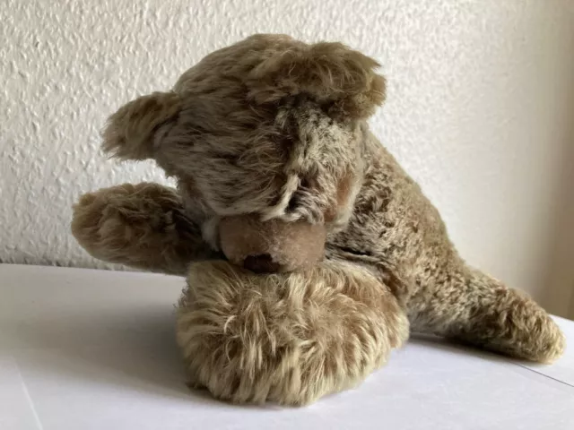 Stofftier Steiff Teddy "Floppy Zotty Schlafbär" 70erJahre mit Knopf Sammlerstück