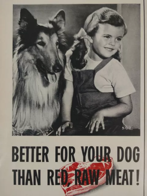 1952 Print Ad Pard Swifts Dog Food with Collie Vtg Life Magazine Advertisement