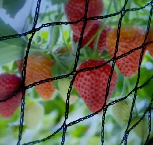 12mm Fine Mesh Strong Pond & Fruit Cage Netting Anti Bird Plants Black Vegetable