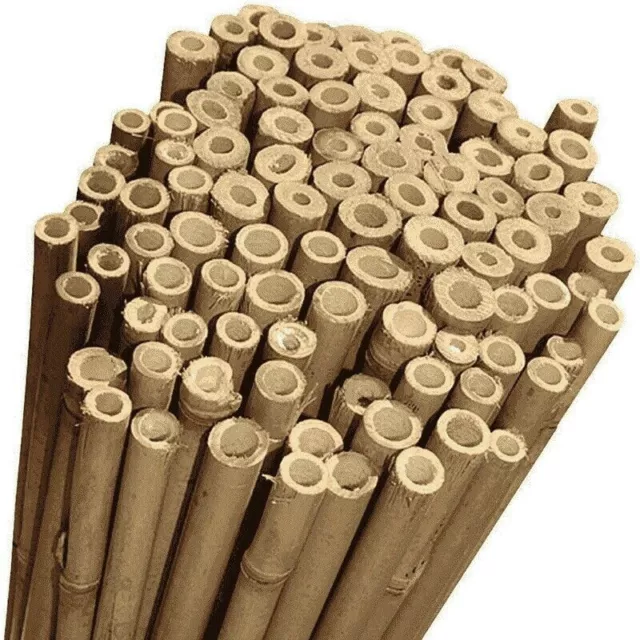 10 Canne di Bamboo per orto h.210 DIAMETRO 22/24 - Bambù - tutori canna