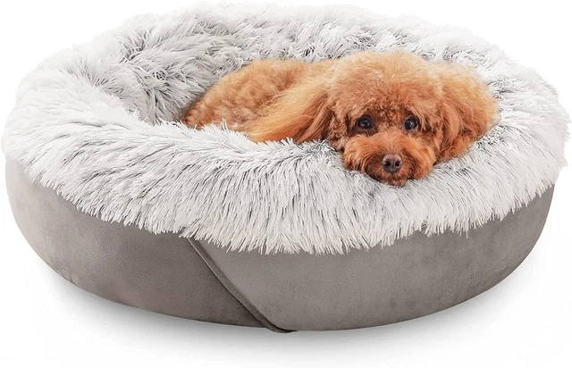 JOEJOY Calming Dog Bed & Cat Bed, Anti-Anxiety Donut Dog Bed for Small Dogs, War