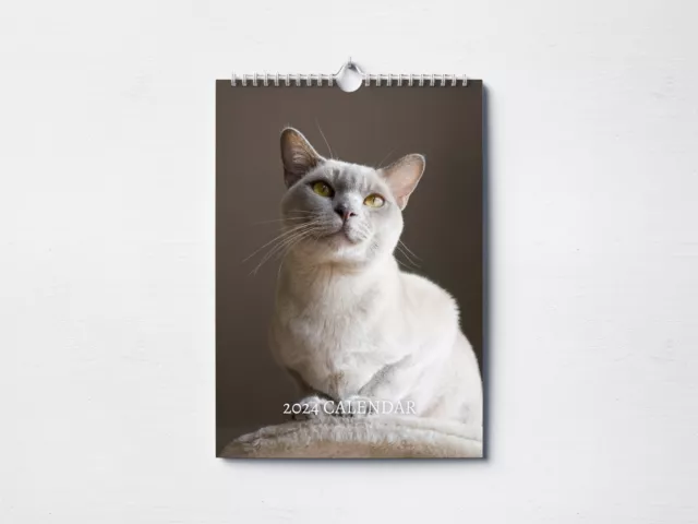Burmese Cat Calendar 2024 | Monthly Wall Calendar, A4 Hanging Calendar