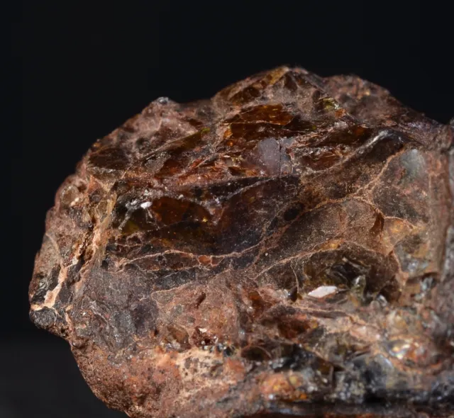 Meteorite Nwa 15738 Da 22,14 G - Pallasite Singola #C46.04-24 2