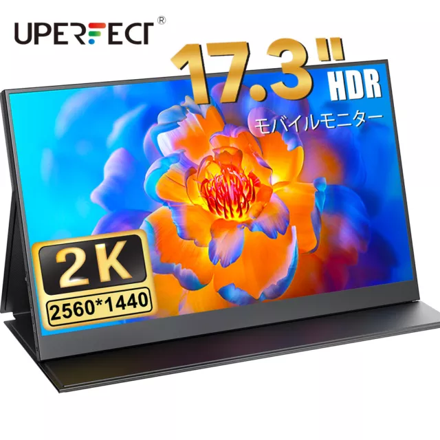 17,3" Tragbarer Monitore 1440P Zweiter Bildschirm USB C Für Laptop PC Gebrauch