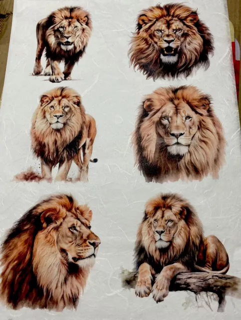 Rice Paper for Decoupage, Laser Printed Lions  A4 6 Images on a sheet