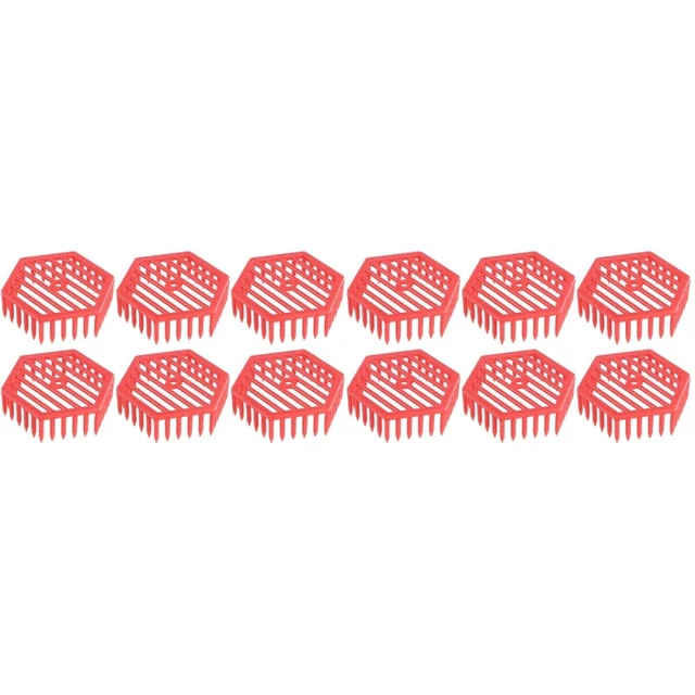 12 pz Strumenti per la conservazione delle api accessorio pannello di controllo Queen Bee Spawn (colore casuale)