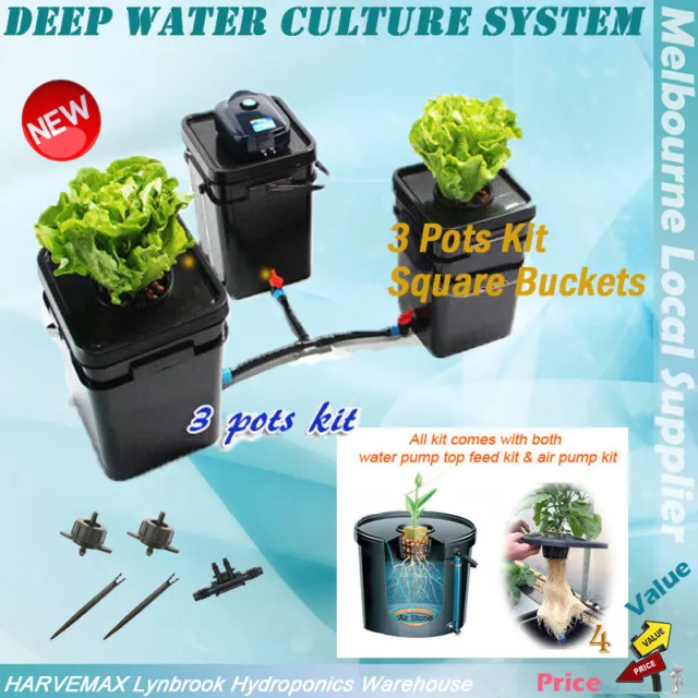 21L 3 Pots DWC Completed System Deep Water Culture Gro Square Bucket