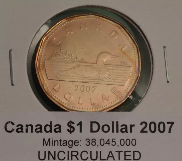 2007 Canada Loonie - BU UNC - from mint roll  🇨🇦🇨🇦