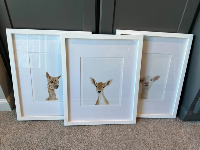 TheAnimalPrintShop "Little Darling" Animal Series by Sharon Montrose - 8.5"x11"