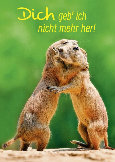 Postkarte Liebe Spruch Dich geb' ich nicht mehr her