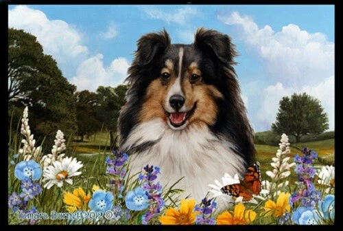 Summer Floor Mat - Tri Shetland Sheepdog Sheltie 39082