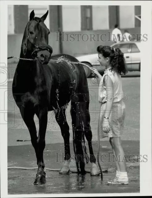 1990 Press Photo Amy McKee with Stonehedge Ruby Horse at Eastern States Expo