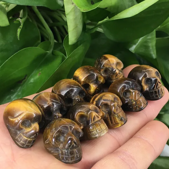 10pc Natural tiger's eye jasper Quartz hand Carved skull crystal Reiki healing