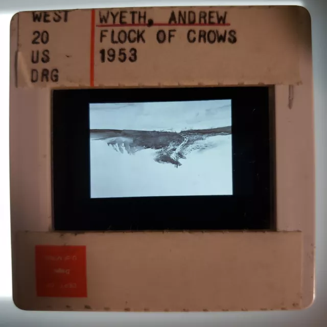 Andrew Wyeth Flock of Crows 1953 Art 35mm Glass Slide Andrew Wyeth Flock of Crows 1953 Art 35mm Glass Slide