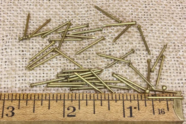 Old 5/8” Brass 50 Vintage NAILS Escutcheon pins USA made 20 ga small head BRADS