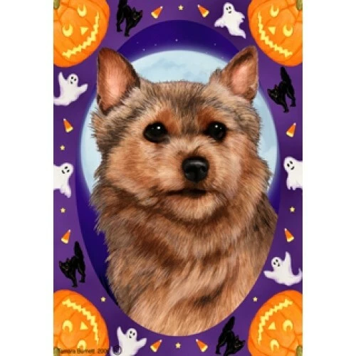 Halloween Garden Flag - Norwich Terrier 121521