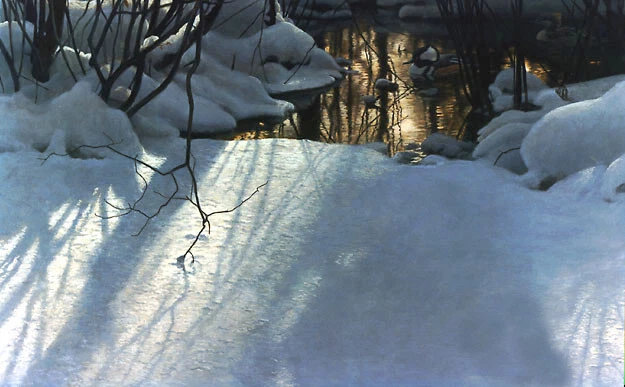 Robert Bateman Winter Pond Mergansers