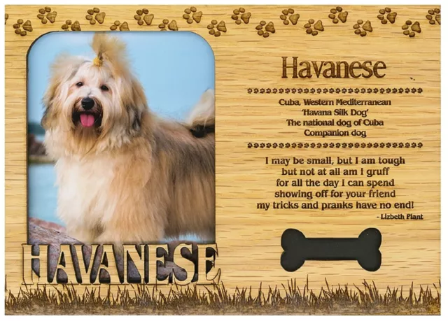 Havanese Engraved Wood Picture Frame Magnet