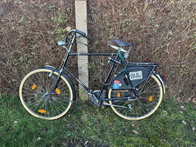 kinderfahrrad 14 zoll bibi Bachtenkirch Qualitäts matt Pink Mädchen Kinderrad Fahrrad ab 3 Jahre Sport & Freizeit Farbe:Hellblau Aqua wolf-1834 🍕 Pizzateig auf Vorrat?
