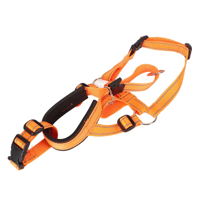 (XL) Collare Testa Cane Muso Morbido Nylon Muso Per Cane Morso Masticazione Regolabile