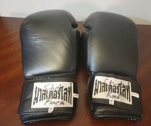 Leather Thaismai Kickboxing Martial Arts 16oz Gloves