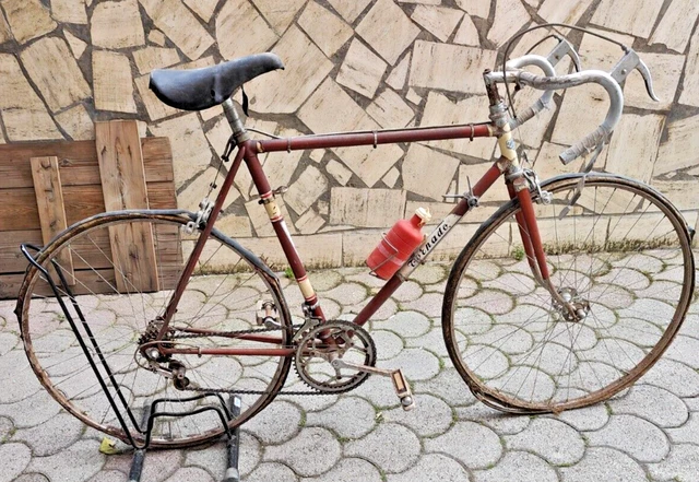 bici da corsa elettrica bottecchia