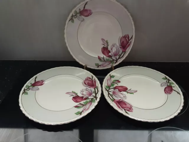 3 Vintage Myott Staffordshire MAGNOLIA Salad Plates  23cm GVC