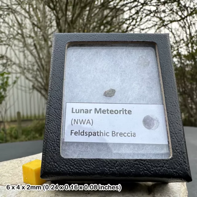 Genuine lunar nwa 8687 meteorite - space moon rock - education, teaching &