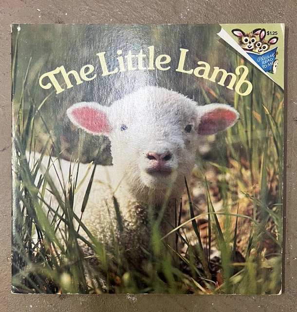 VTG. 1977 THE LITTLE LAMB Phoebe & Judy Dunn  Pictureback Book RANDOM HOUSE
