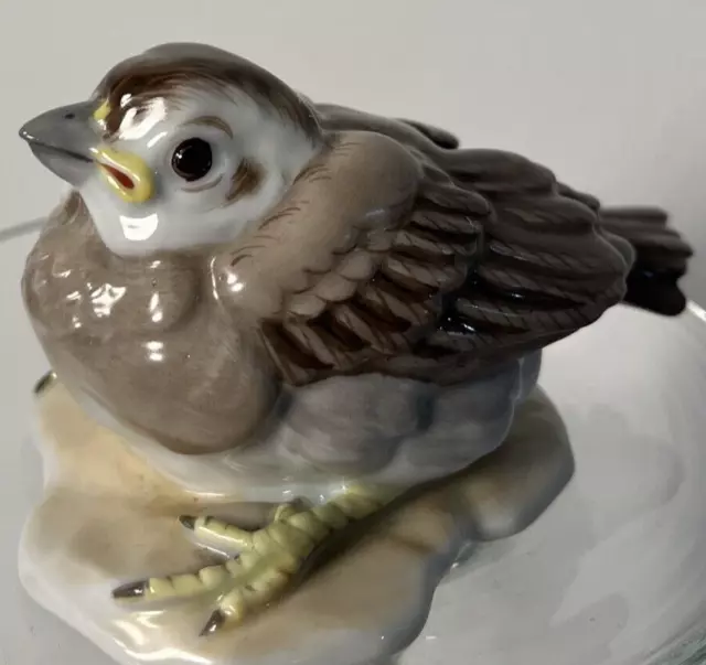 Augarten Wien Austria Figurine "Spatz" Porcelain Baby Sparrow: Vintage #1612 B